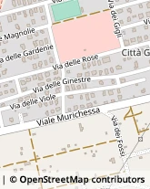 Viale Murichessa, 11,08100Nuoro