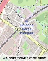 Via Marco Celio, 19,40132Bologna