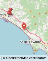 Via Natale Paggi, 73,16033Lavagna