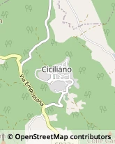 Via dell'Olmo, 21,00020Ciciliano