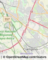 Via Calpurnio Bellico, 85,00118Roma