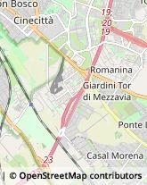 Via Gasperina, 304,00173Roma