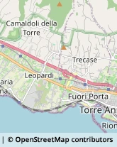 Comunità e Comprensori Montani,80059Napoli