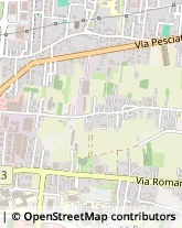 Via Romana, 228/Aranc,55100Lucca