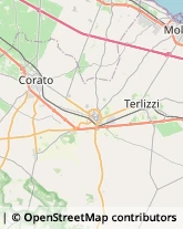 Via Giovanni Bovio, 26,70038Terlizzi