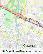 Piazza Leonardo Sciascia, 51,47522Cesena