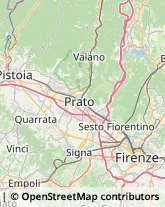 Fiere, Saloni e Mostre - Enti Organizzatori,50144Firenze