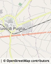 Via Isabella Griffi, 13/15,70037Ruvo di Puglia