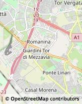 Assicurazioni,00173Roma