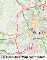 Viale Giustiniano Imperatore, 284,00145Roma