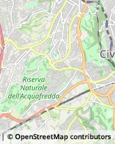 Via Belvedere Montello, 56,00166Roma