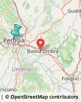 Locali, Birrerie e Pub,06123Perugia