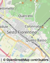 Viale Giuseppe Di Vittorio, 35,50019Sesto Fiorentino