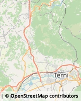 Autotrasporti,05100Terni