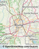 Via Cristoforo Colombo, 25,00122Roma