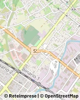 Via Piombara, 49,54033Carrara