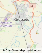 Agenzie di Animazione e Spettacolo,58100Grosseto