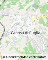 Piazza terme, 19,76012Canosa di Puglia