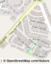 Viale delle Betulle, 13,10048Vinovo