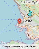 Autofficine e Centri Assistenza,34133Trieste