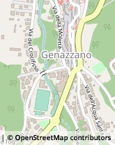 Via Trento e Trieste, 30,00030Genazzano