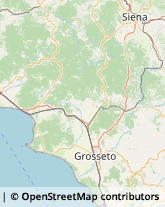 Aziende Agricole,58100Grosseto