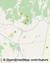 Aziende Agricole,58036Grosseto