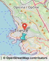 Spedizioni Marittime, Aeree e Terrestri,34145Trieste