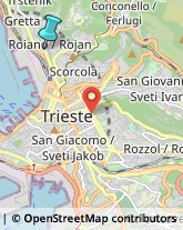 Sartorie,34135Trieste