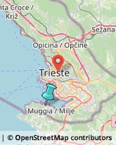 Spedizioni Marittime, Aeree e Terrestri,34015Trieste