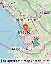 Spedizioni Marittime, Aeree e Terrestri,34018Trieste