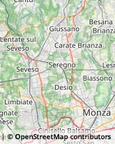 Agenzie di Animazione e Spettacolo,20814Monza e Brianza