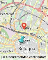 Articoli per Ortopedia,40122Bologna