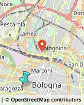 Articoli per Ortopedia,40134Bologna