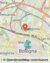 Articoli per Ortopedia,40123Bologna