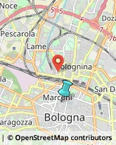 Campeggi, Villaggi Turistici e Ostelli,40121Bologna