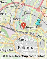 Articoli per Ortopedia,40128Bologna