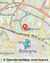 Articoli per Ortopedia,40138Bologna