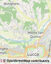 Via Beccheria, 11,55100Lucca