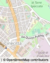 Via Quinto Publicio, 31,00175Roma