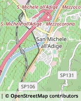 Via G. Postal, 41/d,38010San Michele all'Adige