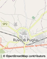 Via Antonio Vivaldi, 1/E,70037Ruvo di Puglia