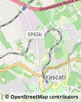 Via dell'Olmo, 37,00044Frascati