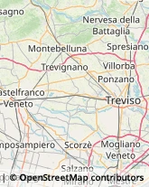 Consulenza di Direzione ed Organizzazione Aziendale,31059Treviso