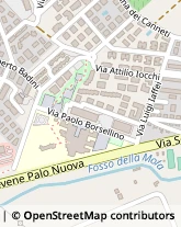 Via Prato del Cavaliere, 5,00052Cerveteri