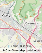 Porcellane - Produzione e Ingrosso,45030Firenze