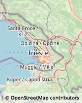 Otorinolaringoiatria - Medici Specialisti,34011Trieste