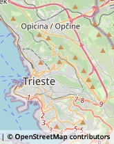 Biciclette - Ingrosso e Produzione,34143Trieste