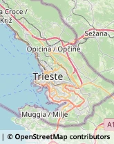 Biciclette - Ingrosso e Produzione,34010Trieste