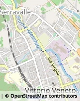 Viale Camillo Cavour, 173,31029Vittorio Veneto